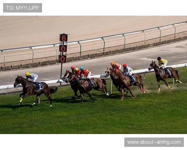 如何正确理解澳门赛马玩法的比赛规则与投注方式