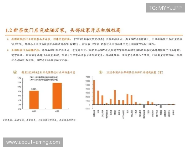 澳门凯旋集团的品牌建设及其在国际市场中的竞争优势分析与未来发展潜力