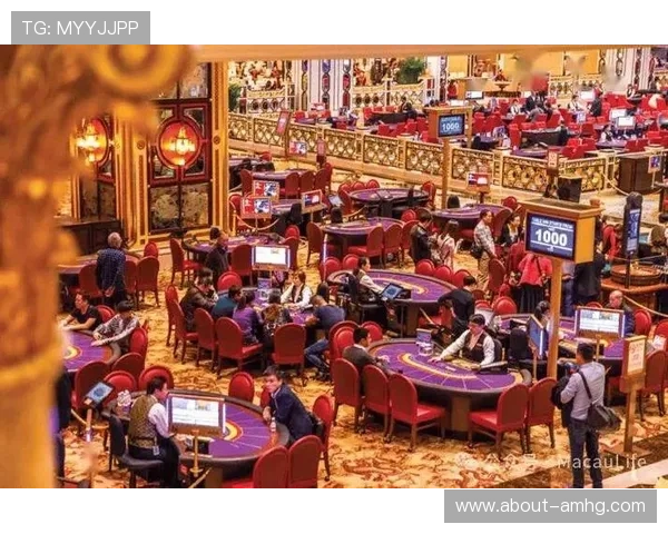 澳门有几家赌场，历史发展与现代化娱乐设施的融合探秘